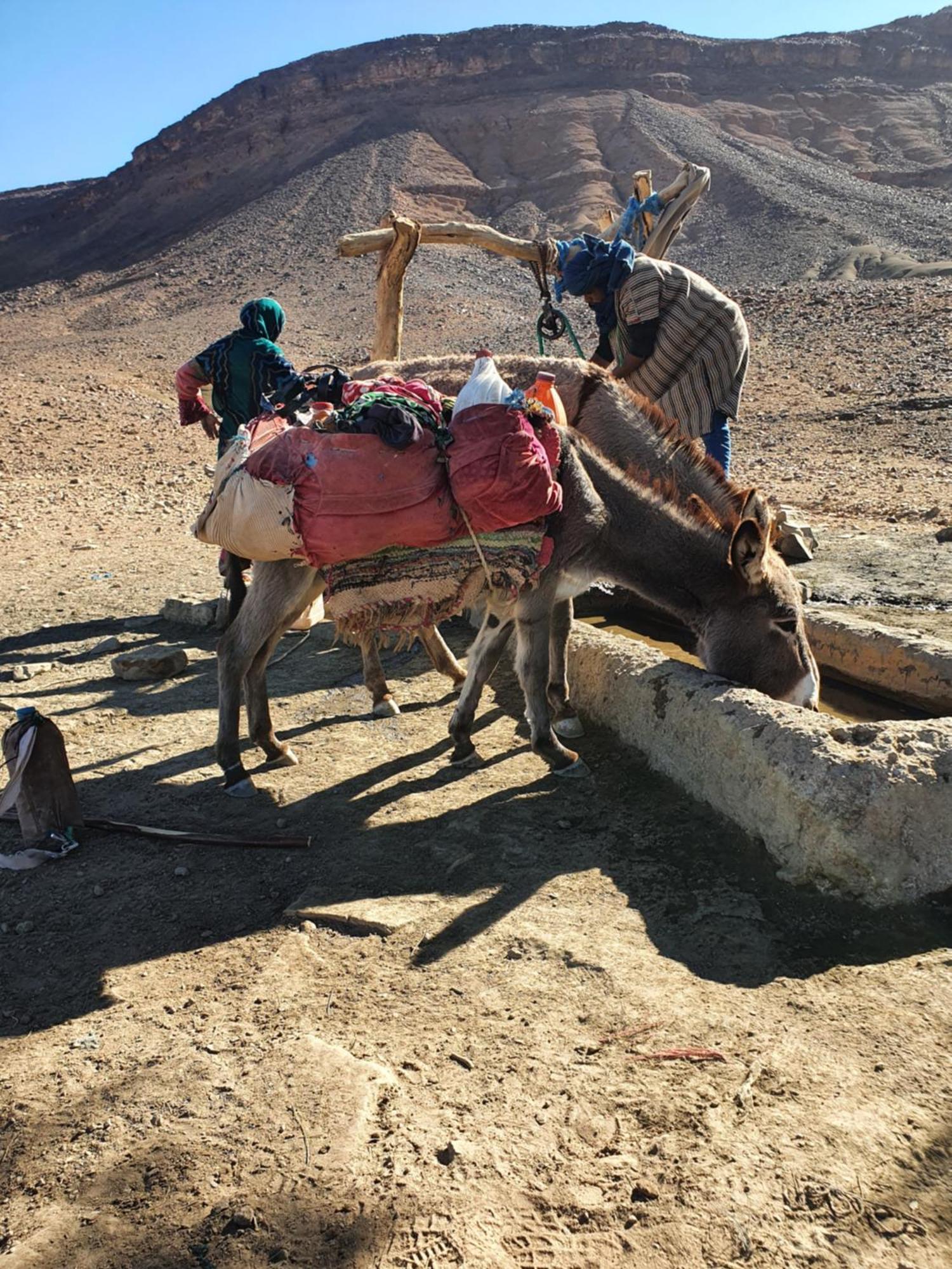 Bivouac Les Nomades & Foum Zguid To Chegaga Tours酒店 外观 照片