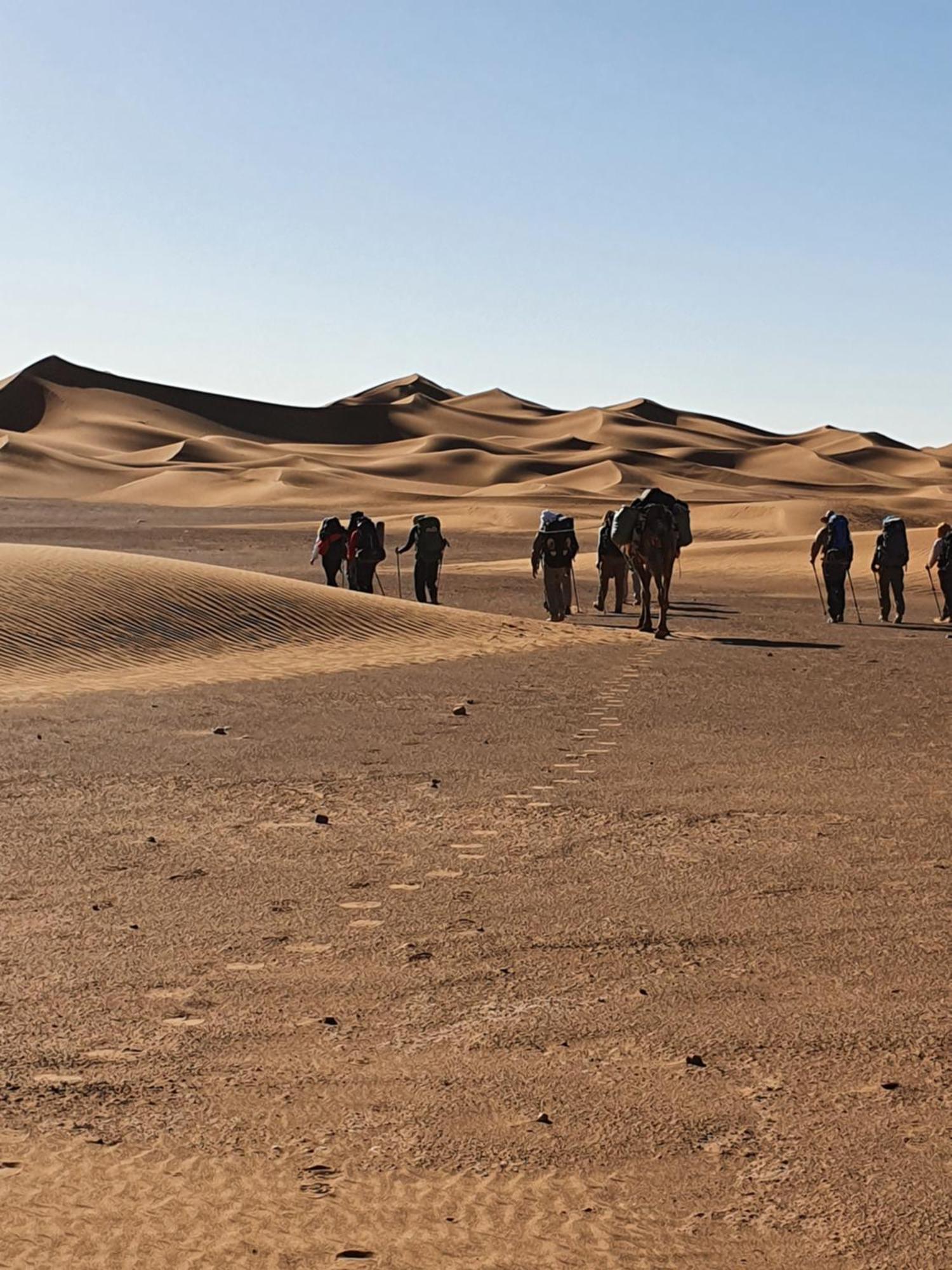Bivouac Les Nomades & Foum Zguid To Chegaga Tours酒店 外观 照片